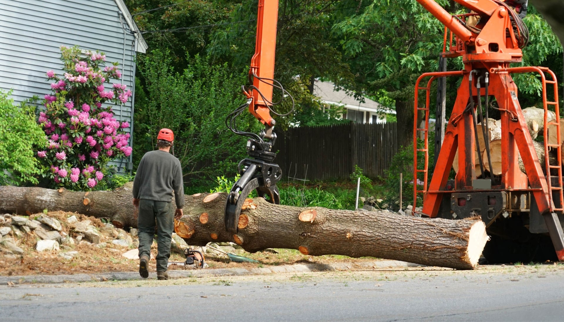 Local partner for Tree removal services in Oregon City